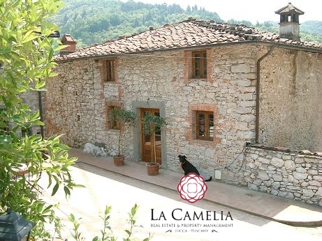 8 Bed, HouseFor Sale, Pescaglia, Lucca, Toscana 8 Bed, HouseFor Sale, Pescaglia, Lucca, Toscana