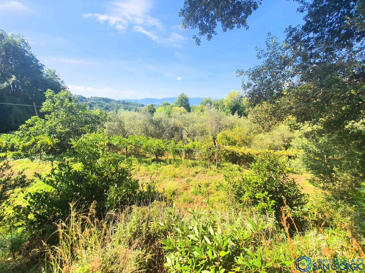4 Bed, HouseFor Sale, Fosdinovo, Toscana
