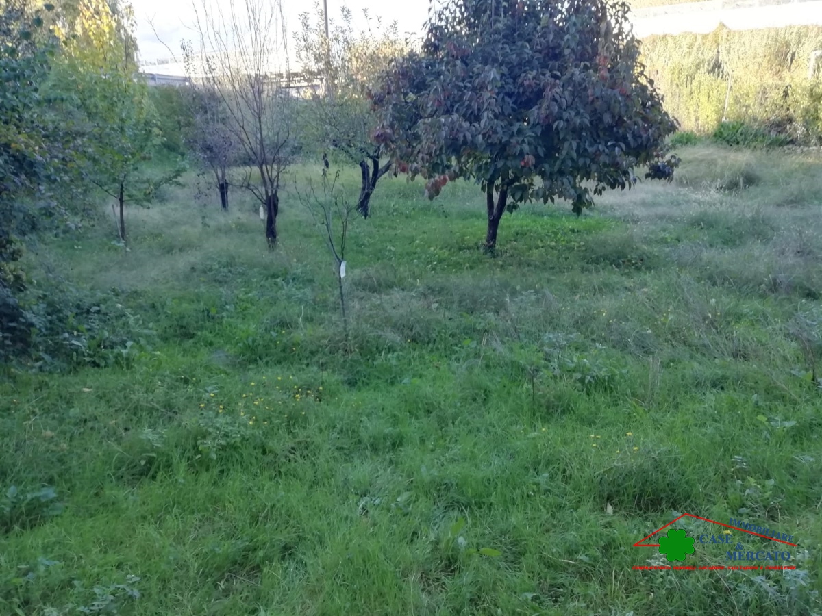 8 Bed, HouseFor Sale, Lucca, Lucca, Toscana 8 Bed, HouseFor Sale, Lucca, Lucca, Toscana