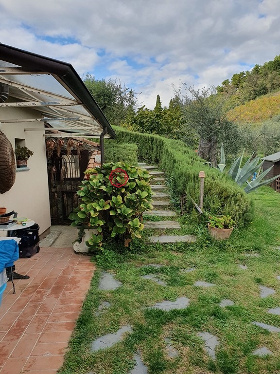 3 Bed, HouseFor Sale, Massarosa, Lucca, Toscana