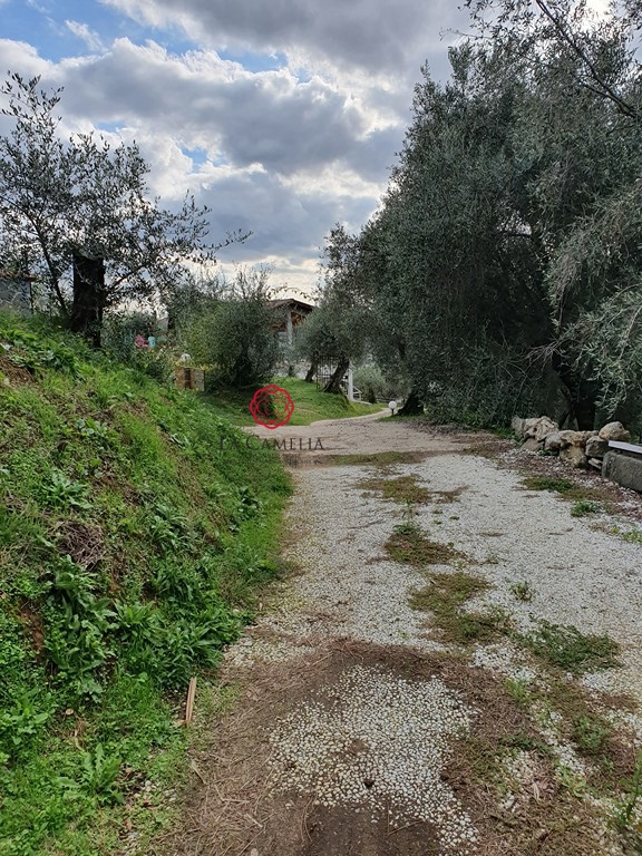 3 Bed, HouseFor Sale, Massarosa, Lucca, Toscana