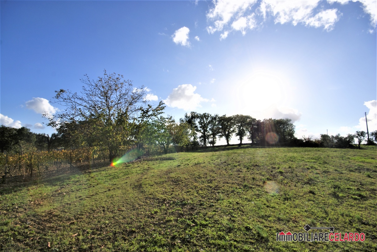 HouseFor Sale, Siena, Toscana