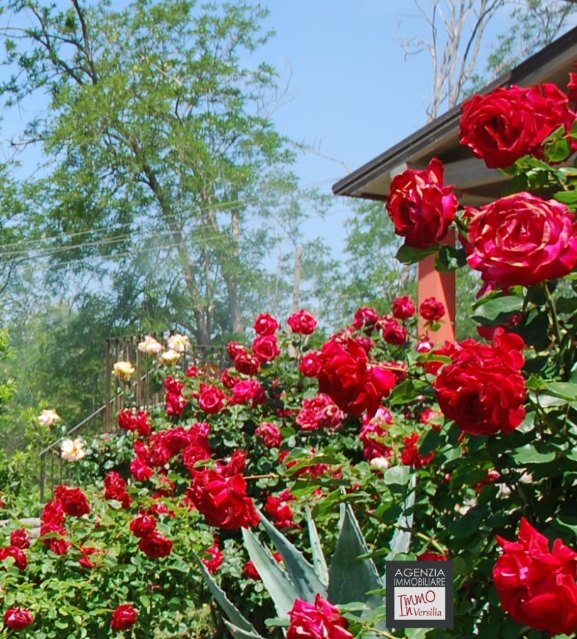 6 Bed, HouseFor Sale, Camaiore, Lucca, Toscana