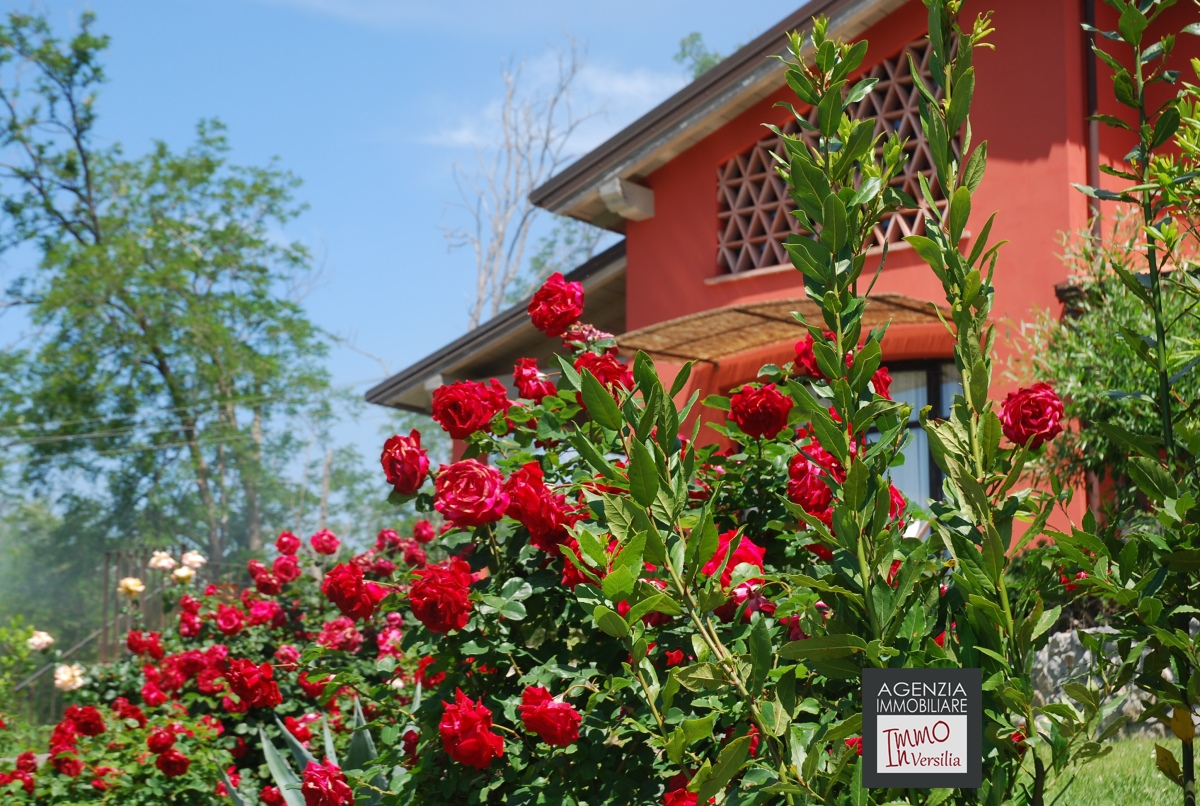 6 Bed, HouseFor Sale, Camaiore, Lucca, Toscana