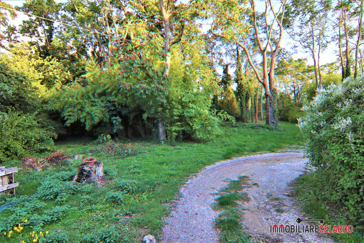 12 Bed, HouseFor Sale, Siena, Toscana 12 Bed, HouseFor Sale, Siena, Toscana