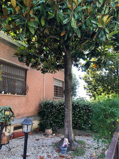 4 Bed, HouseFor Sale, Poggio Mirteto, Rieti, Lazio 4 Bed, HouseFor Sale, Poggio Mirteto, Rieti, Lazio