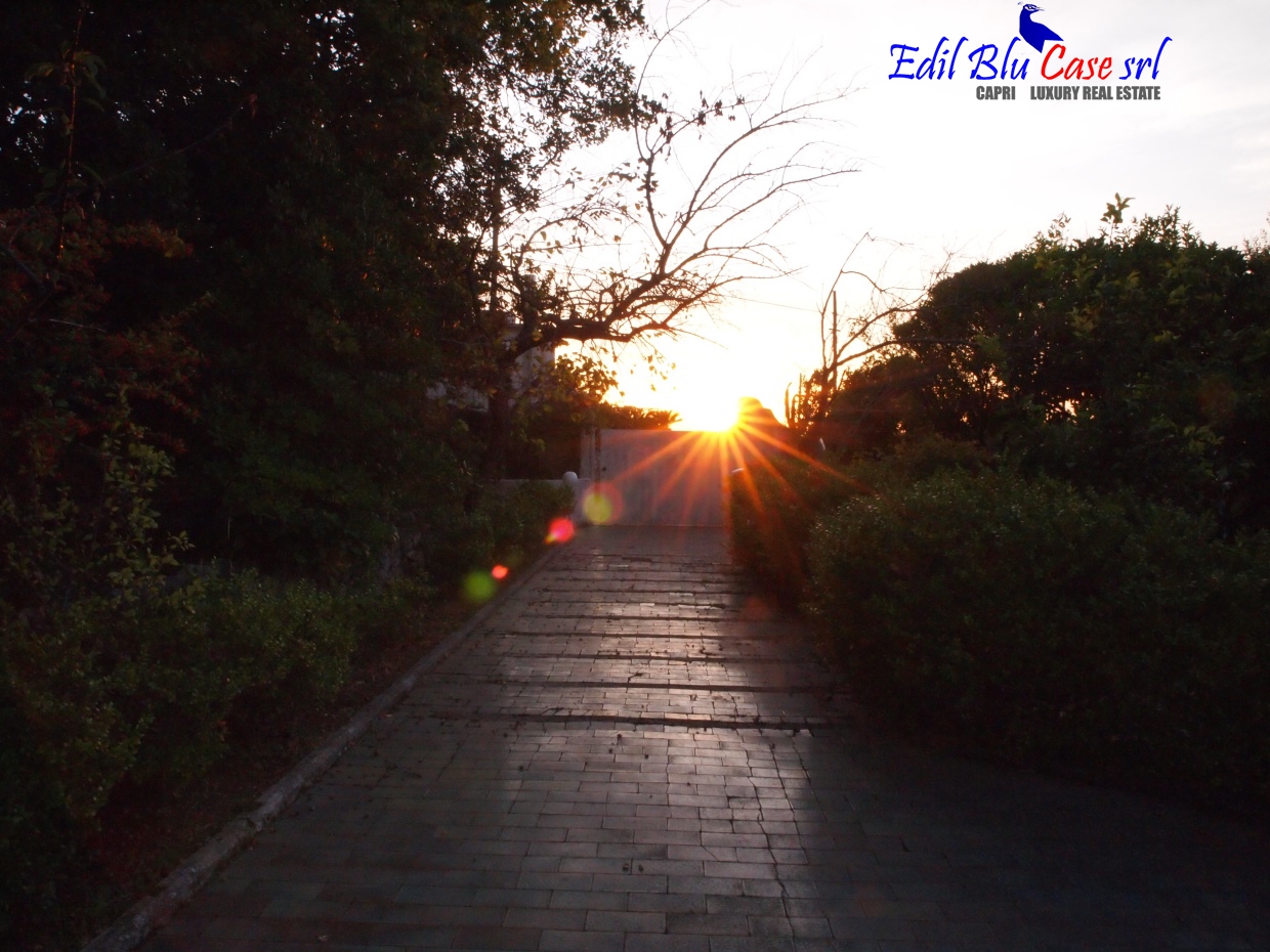 3 Bed, HouseFor Sale, Anacapri, Napoli, Campania 3 Bed, HouseFor Sale, Anacapri, Napoli, Campania