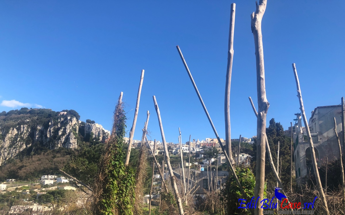 2 Bed, ApartmentFor Sale, Capri, Napoli, Campania 2 Bed, ApartmentFor Sale, Capri, Napoli, Campania