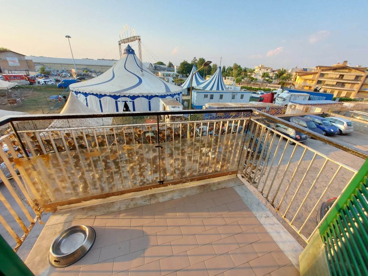 4 Bed, ApartmentFor Sale, Casoria, Napoli, Campania 4 Bed, ApartmentFor Sale, Casoria, Napoli, Campania