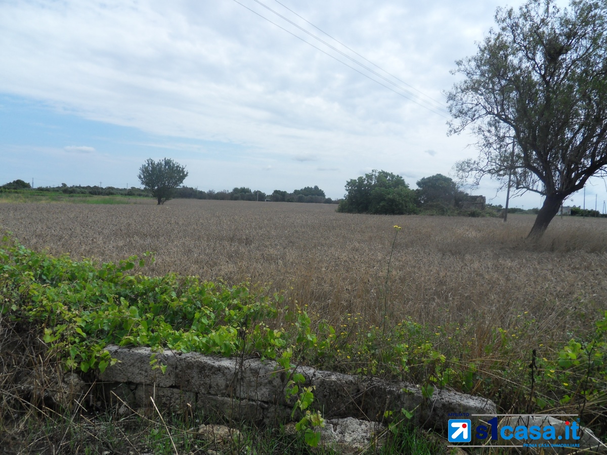 Land, For Sale