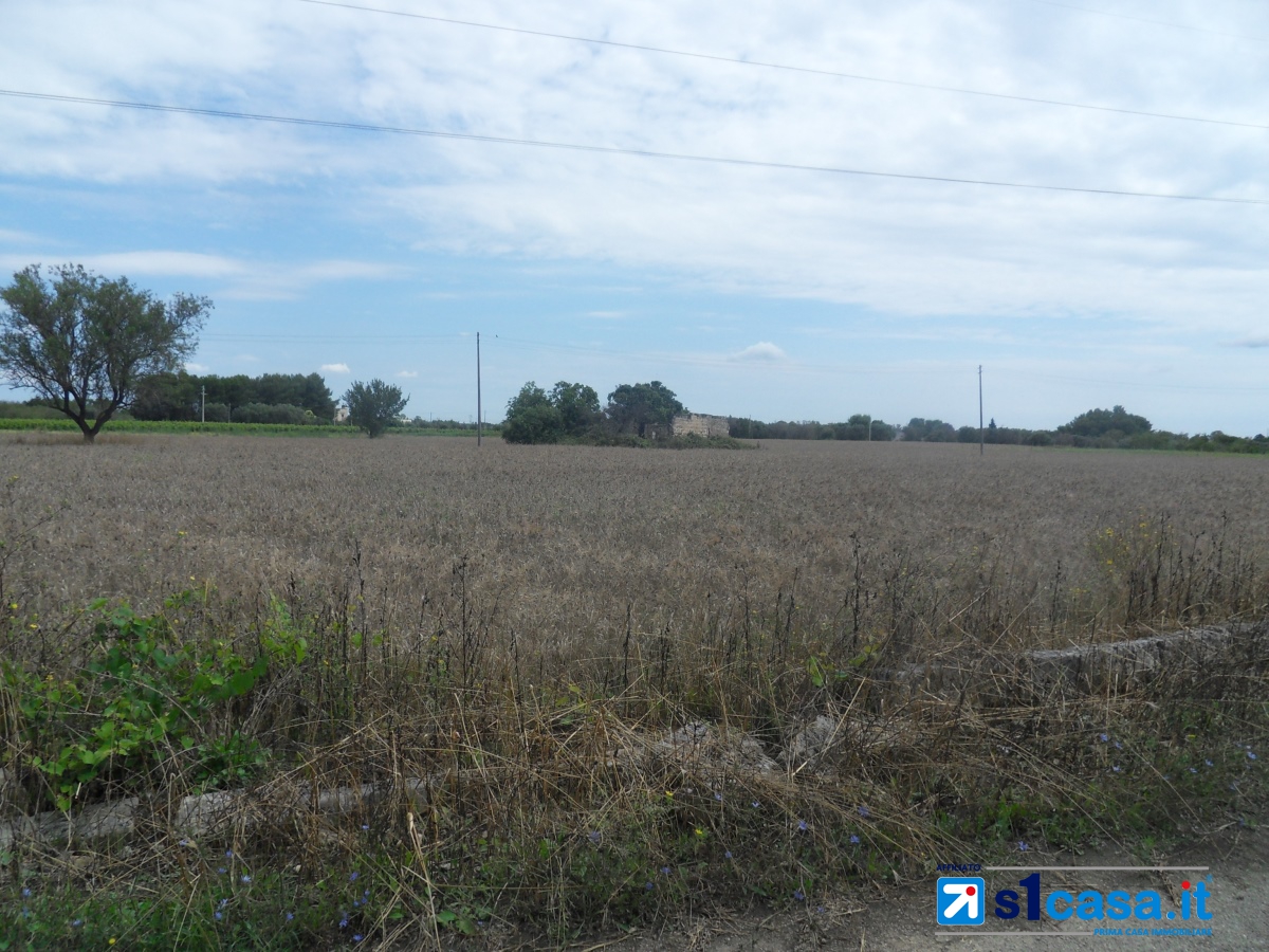 Land, For Sale Land, For Sale
