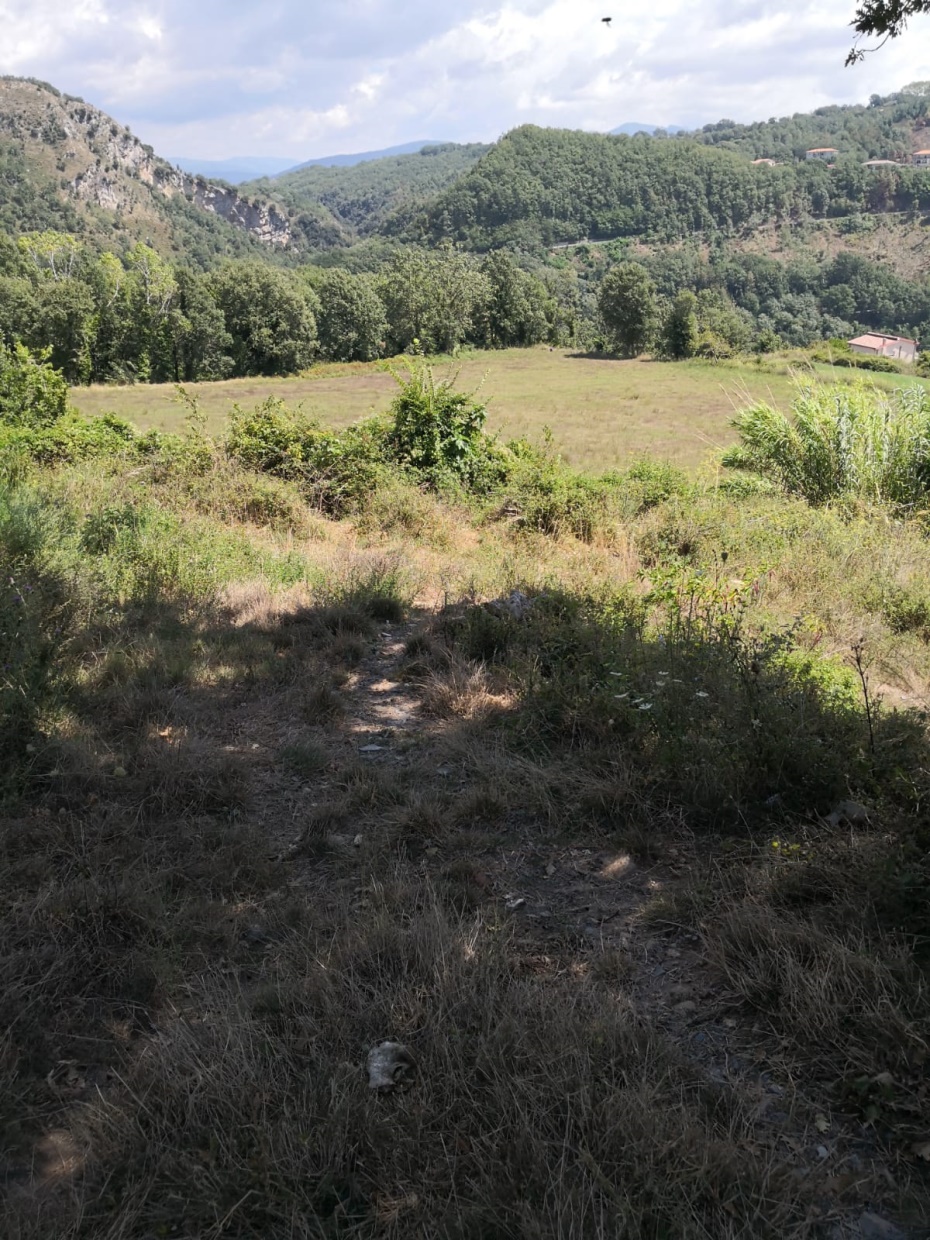 4 Bed, HouseFor Sale, Cosenza, Calabria 4 Bed, HouseFor Sale, Cosenza, Calabria