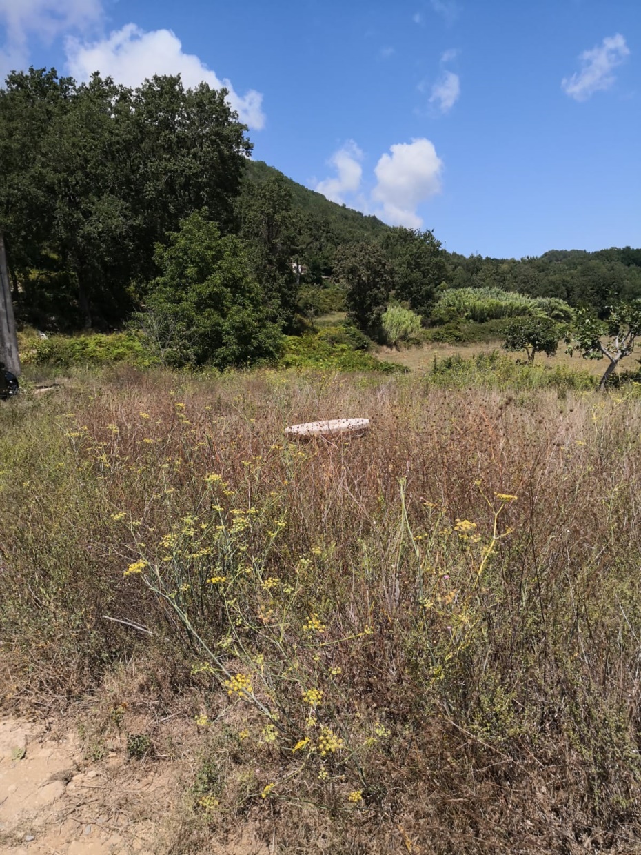 4 Bed, HouseFor Sale, Cosenza, Calabria 4 Bed, HouseFor Sale, Cosenza, Calabria