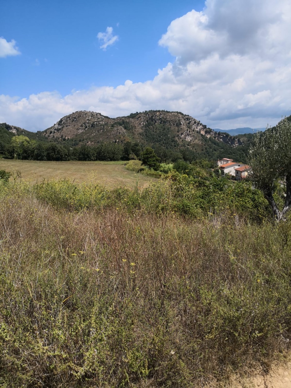 4 Bed, HouseFor Sale, Cosenza, Calabria 4 Bed, HouseFor Sale, Cosenza, Calabria