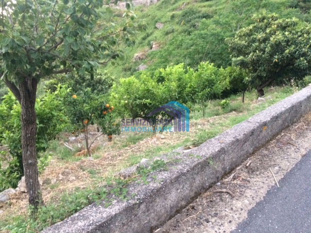 Land, For Sale Land, For Sale