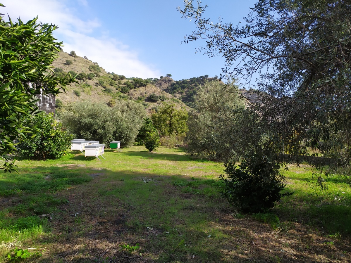 Land, For Sale Land, For Sale