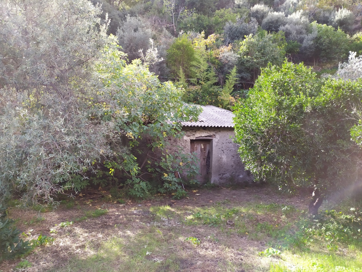 Land, For Sale Land, For Sale