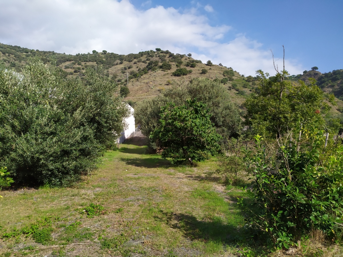 Land, For Sale Land, For Sale