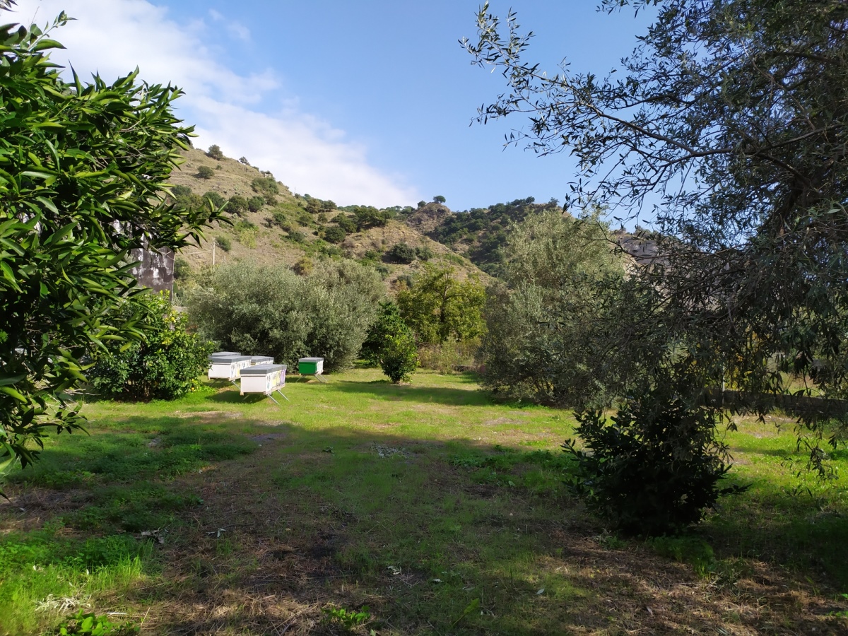 Land, For Sale Land, For Sale