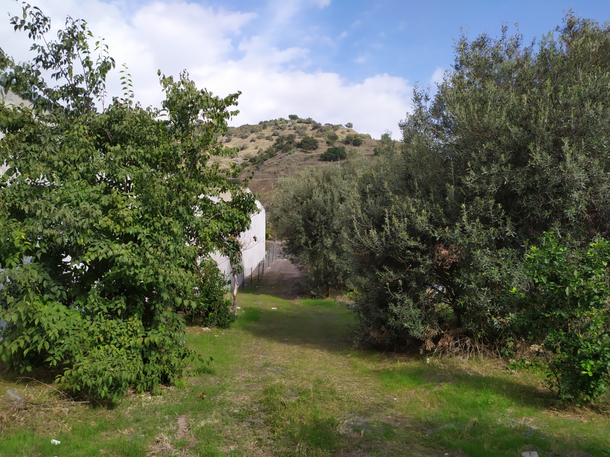 Land, For Sale Land, For Sale