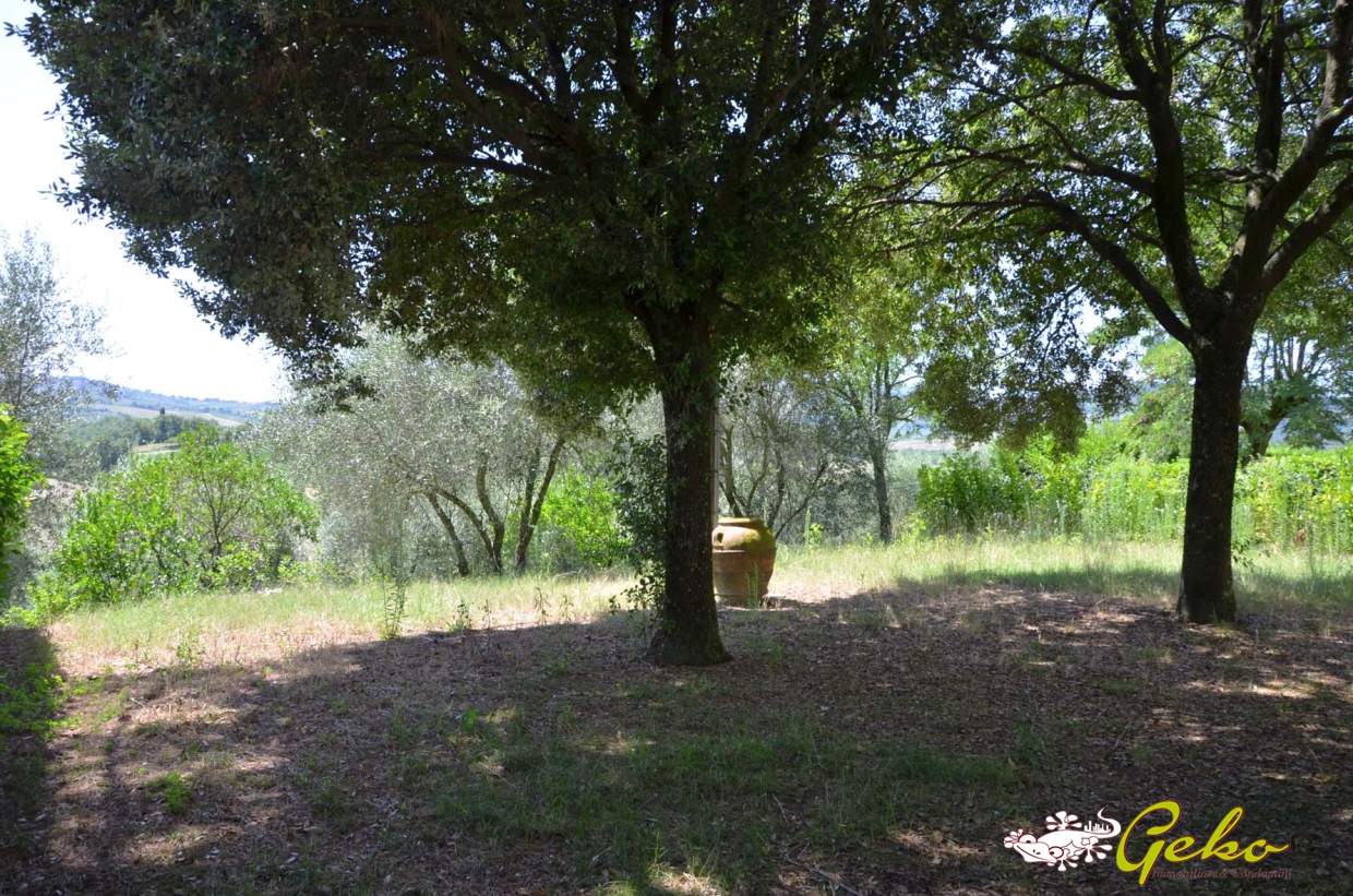 1 Bed, HouseFor Sale, San Gimignano, Siena, Toscana