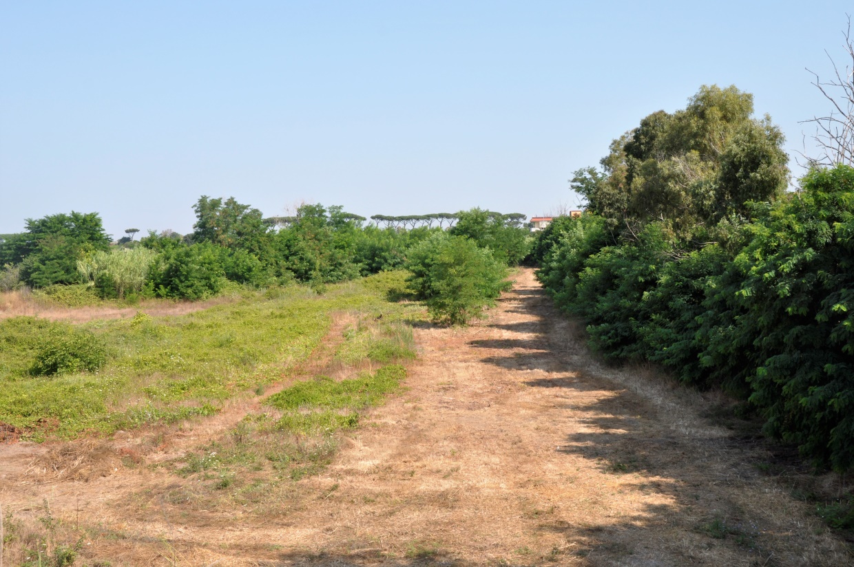 Land, For Sale Land, For Sale