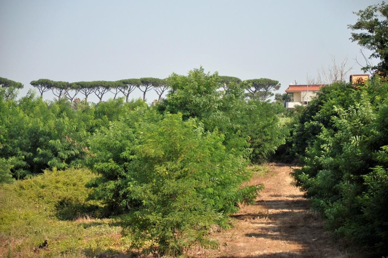 Land, For Sale Land, For Sale