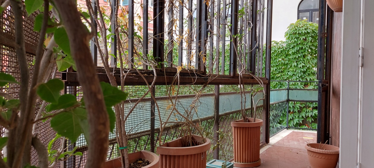 3 Bed, ApartmentFor Sale, Napoli, Napoli, Campania 3 Bed, ApartmentFor Sale, Napoli, Napoli, Campania