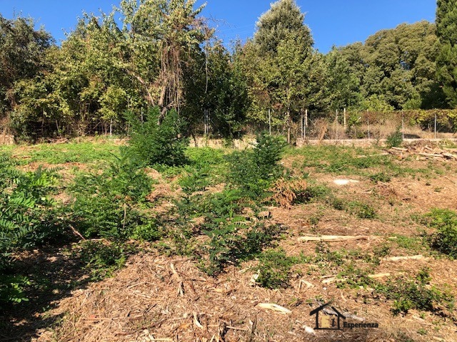 Commercial Property, For Sale Commercial Property, For Sale