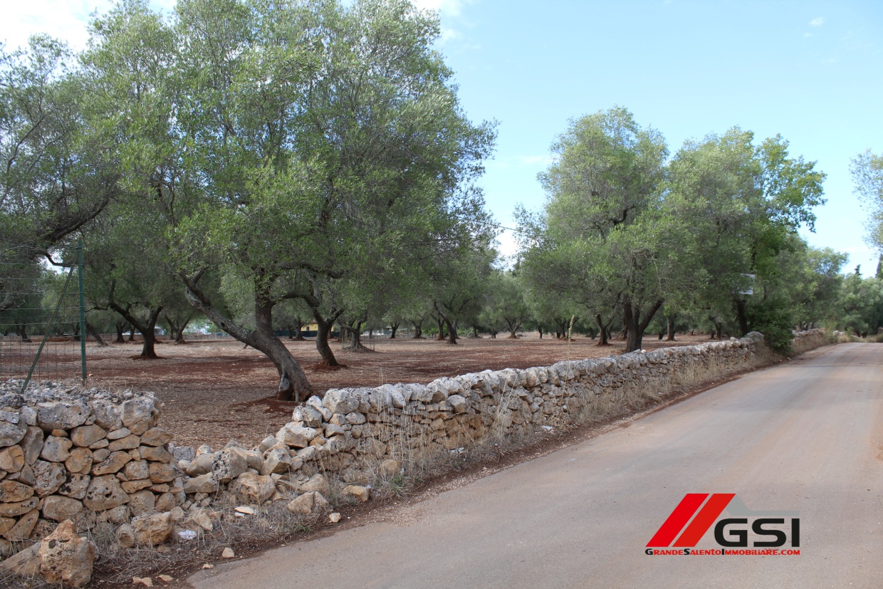 Land, For Sale Land, For Sale