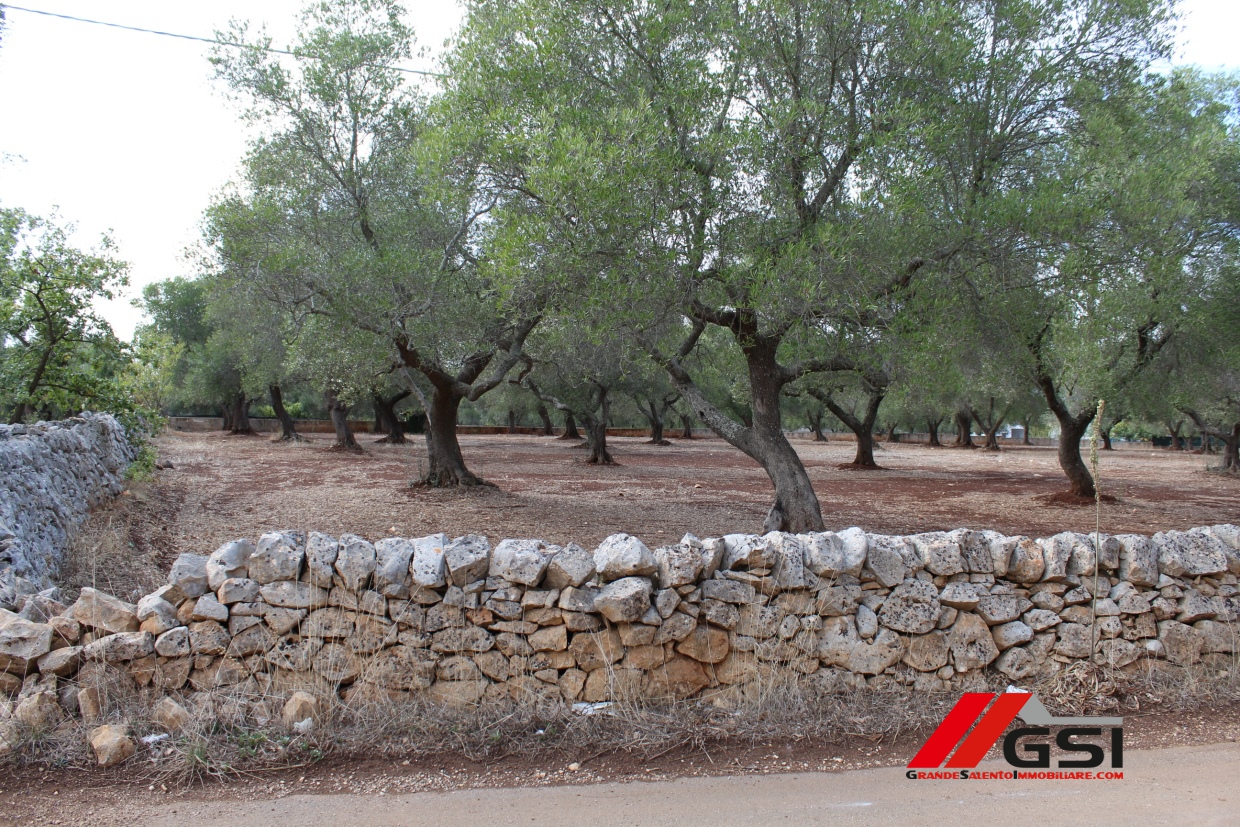 Land, For Sale Land, For Sale