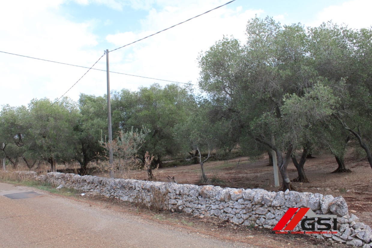 Land, For Sale Land, For Sale