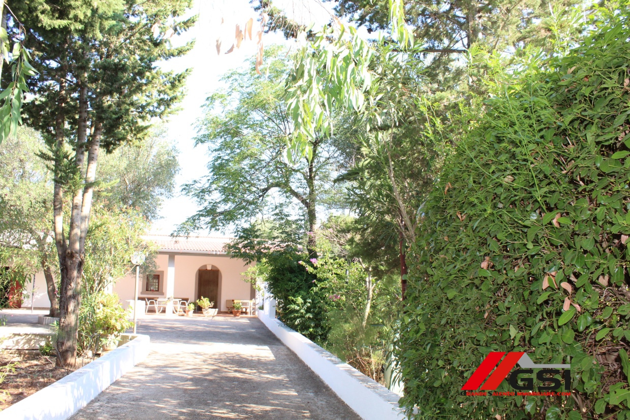 2 Bed, HouseFor Sale, Ceglie Messapica, Brindisi, Puglia 2 Bed, HouseFor Sale, Ceglie Messapica, Brindisi, Puglia