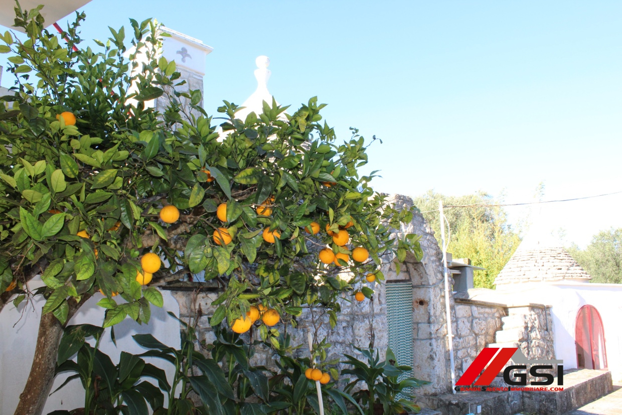 2 Bed, HouseFor Sale, San Michele Salentino, Brindisi, Puglia 2 Bed, HouseFor Sale, San Michele Salentino, Brindisi, Puglia