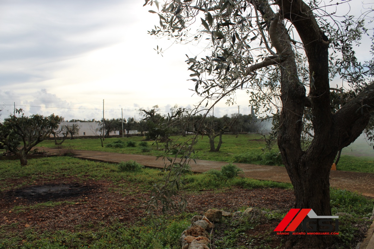 HouseFor Sale, Ostuni, Brindisi, Puglia