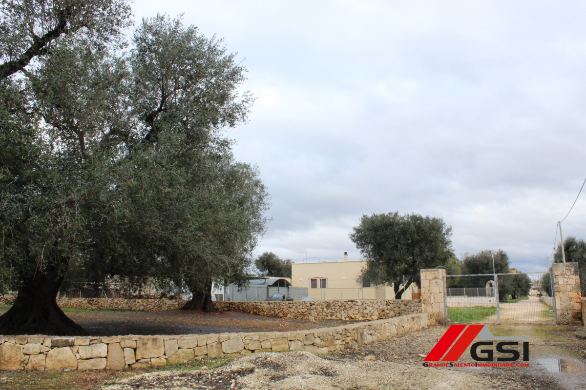 3 Bed, HouseFor Sale, San Michele Salentino, Brindisi, Puglia 3 Bed, HouseFor Sale, San Michele Salentino, Brindisi, Puglia