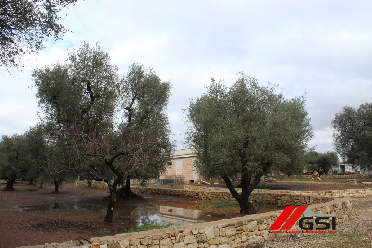 3 Bed, HouseFor Sale, San Michele Salentino, Brindisi, Puglia 3 Bed, HouseFor Sale, San Michele Salentino, Brindisi, Puglia