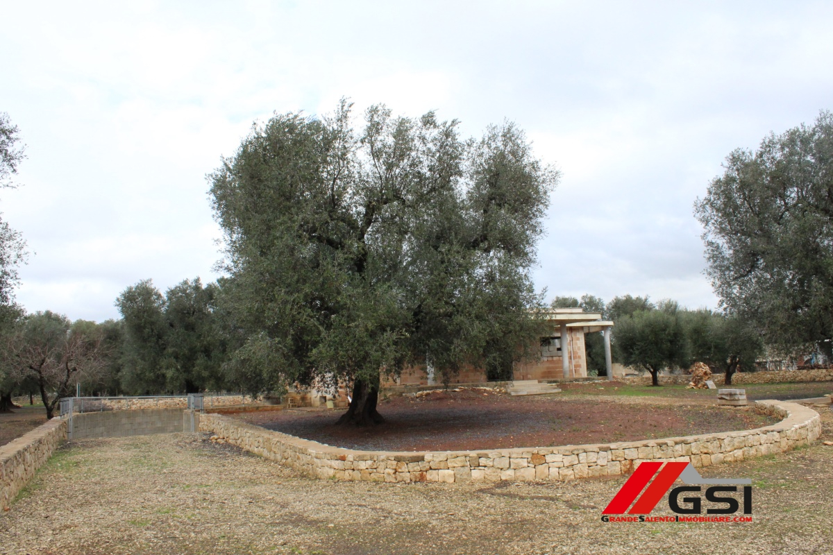 3 Bed, HouseFor Sale, San Michele Salentino, Brindisi, Puglia 3 Bed, HouseFor Sale, San Michele Salentino, Brindisi, Puglia
