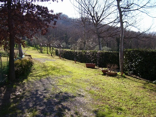 10 Bed, HouseFor Sale, Capannori, Lucca, Toscana 10 Bed, HouseFor Sale, Capannori, Lucca, Toscana