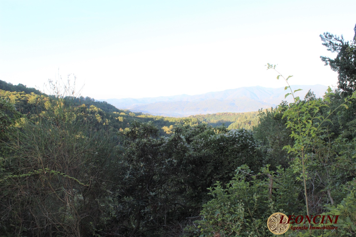 3 Bed, HouseFor Sale, Toscana