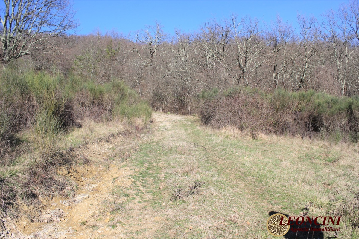 3 Bed, HouseFor Sale, Pontremoli, Toscana