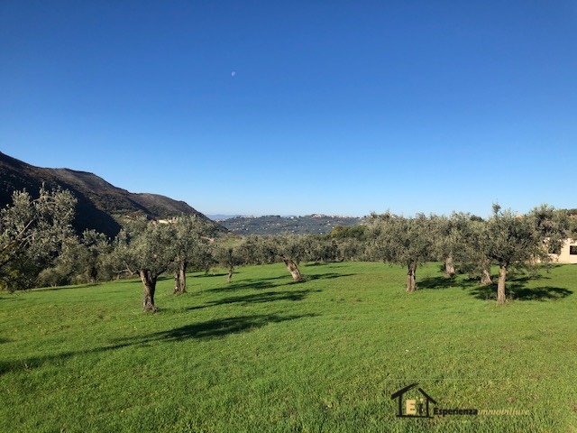 Land, For Sale Land, For Sale