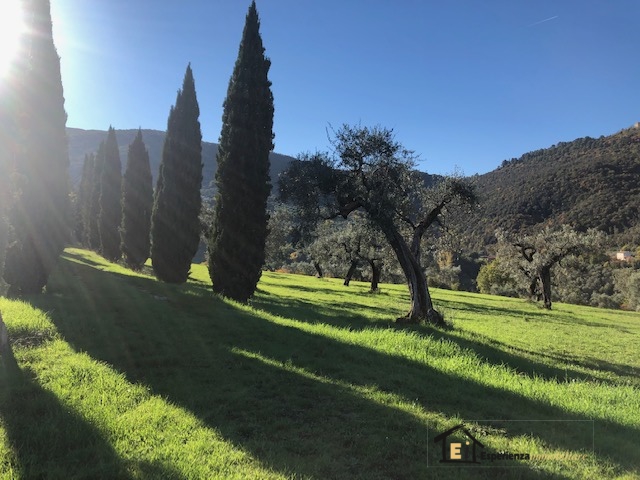 Land, For Sale Land, For Sale