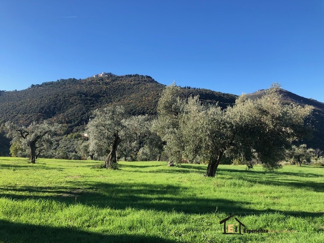 Land, For Sale Land, For Sale