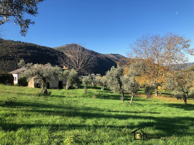 Land, For Sale Land, For Sale