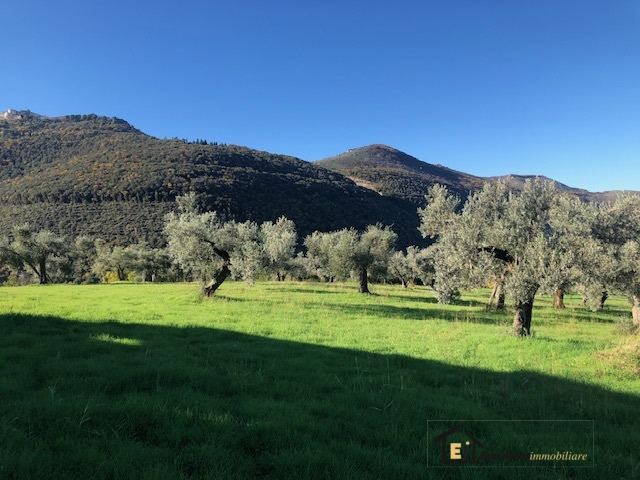 Land, For Sale Land, For Sale