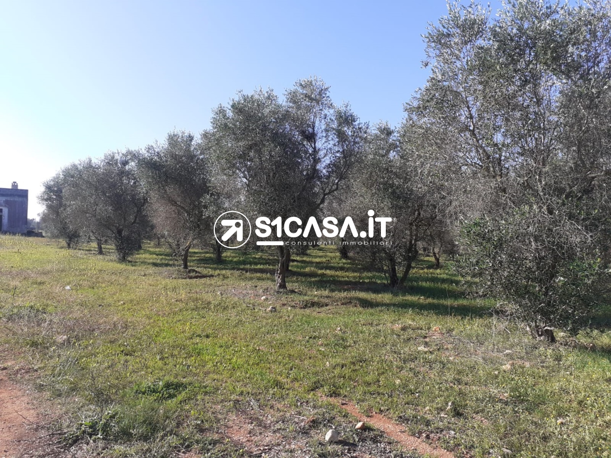 HouseFor Sale, Galatone, Lecce, Puglia HouseFor Sale, Galatone, Lecce, Puglia