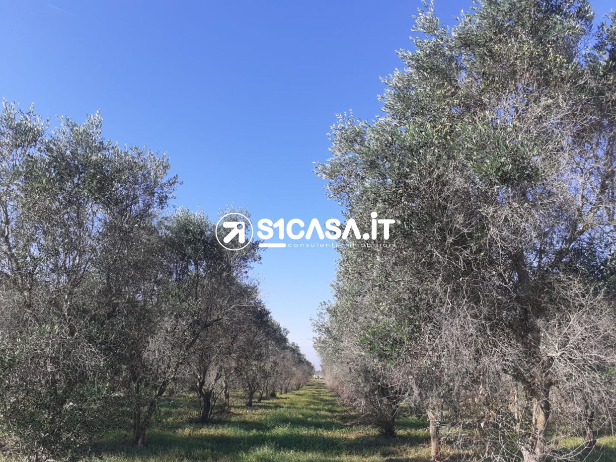 HouseFor Sale, Galatone, Lecce, Puglia HouseFor Sale, Galatone, Lecce, Puglia