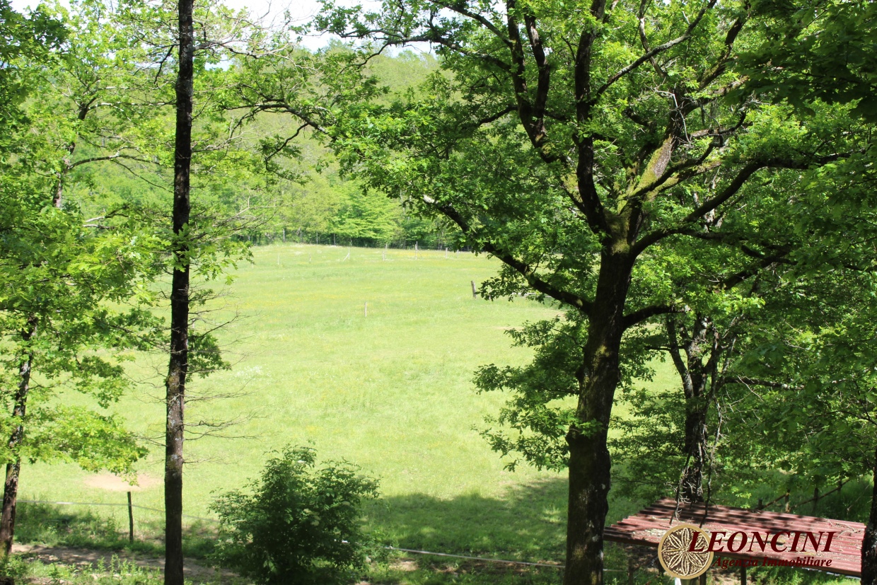 4 Bed, HouseFor Sale, Villafranca in Lunigiana, Toscana 4 Bed, HouseFor Sale, Villafranca in Lunigiana, Toscana