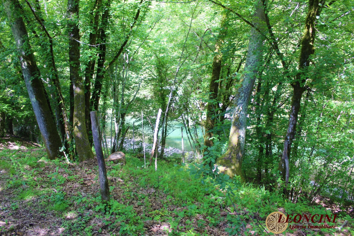 4 Bed, HouseFor Sale, Villafranca in Lunigiana, Toscana 4 Bed, HouseFor Sale, Villafranca in Lunigiana, Toscana